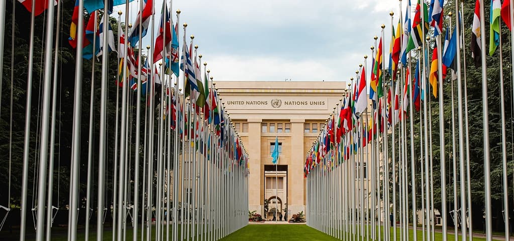 Conselho leva à ONU alerta sobre avanço do neonazismo no Brasil