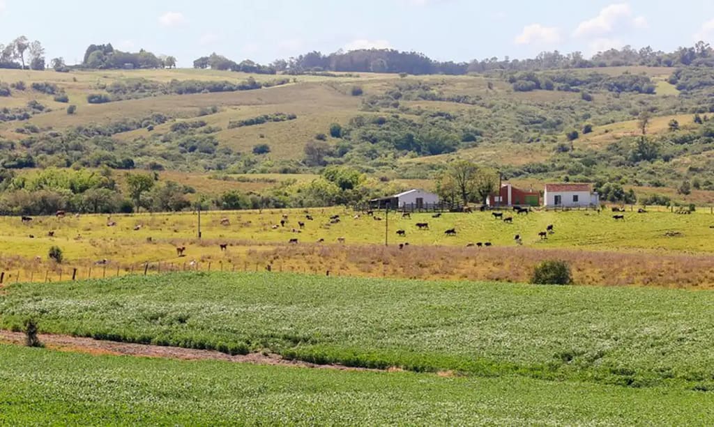 Pampa é o bioma brasileiro menos protegido por unidades de conservação