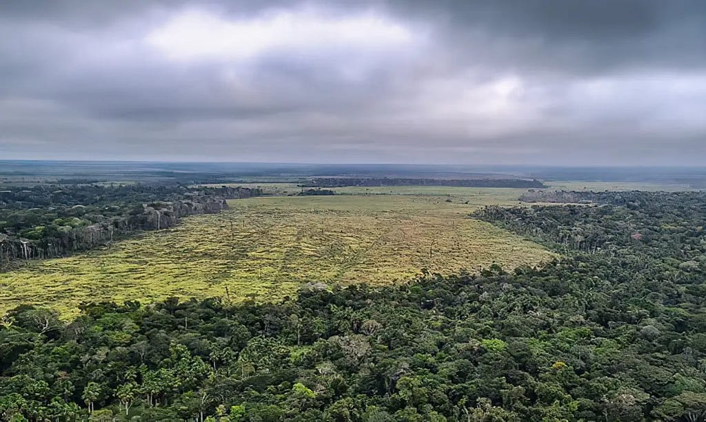 Prorrogada adesão a programa de combate ao desmatamento na Amazônia