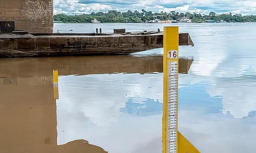 Sistema Agroflorestal promove redução de efeitos da seca na Amazônia