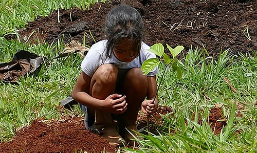 Estudo revela efetividade das ações de conservação ambiental