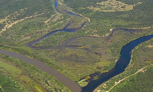 Mata Atlântica: desmatamento cai em áreas contínuas entre 2022 e 2023