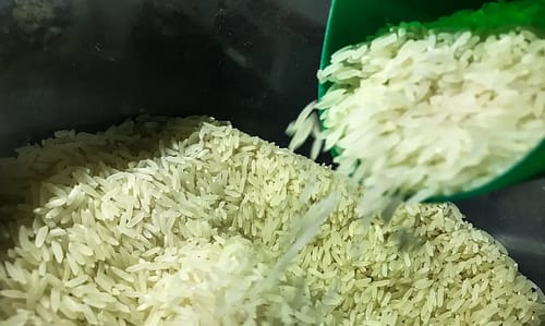 Governo autoriza compra de 1 milhão de toneladas de arroz