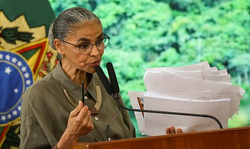 Desmatamento no Cerrado tem redução de 12,9% neste ano