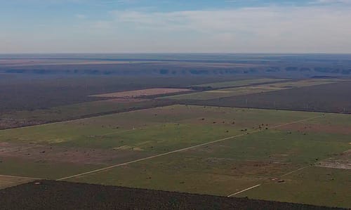 Em meio à expansão do desmatamento, Piauí debate nova lei ambiental