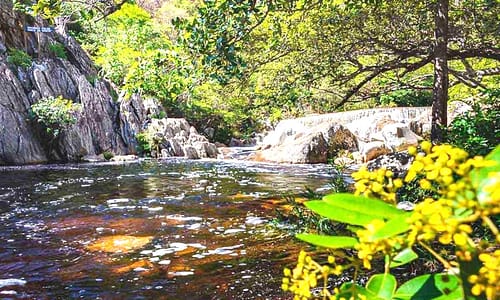 Comunidades de Minas conquistam lei inovadora para proteção de um rio