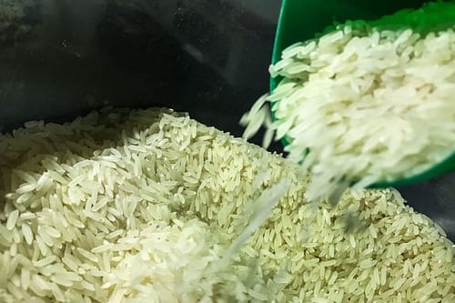 Camex zera tarifa de importação para garantir abastecimento de arroz