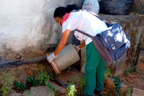 LIRAa aponta queda acentuada da infestação de Aedes aegypti em Ipatinga