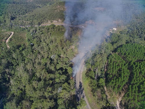 Atuação da CENIBRA impede propagação de incêndio florestal na BR-381